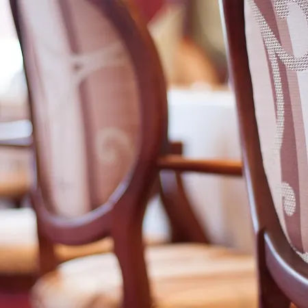 Chiirite بلوفديف